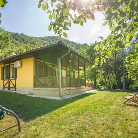 Vila Camelia Golubac Buitenkant foto