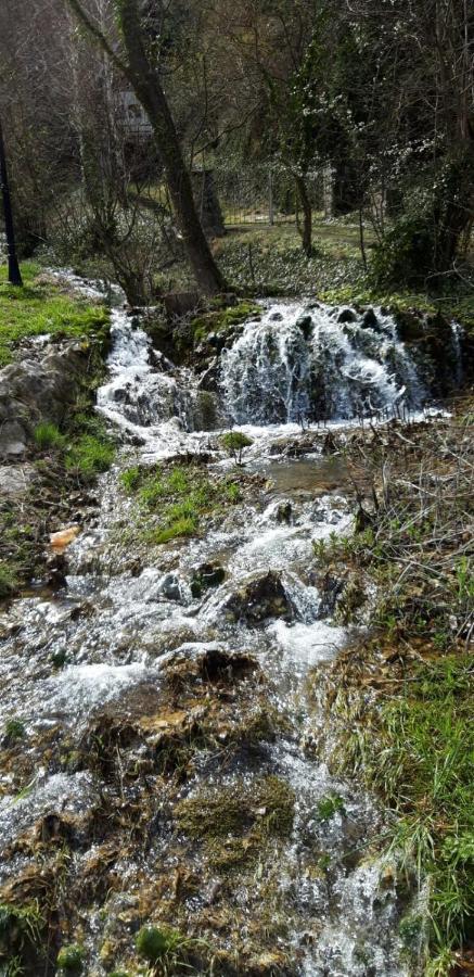 Vila Camelia Golubac Buitenkant foto