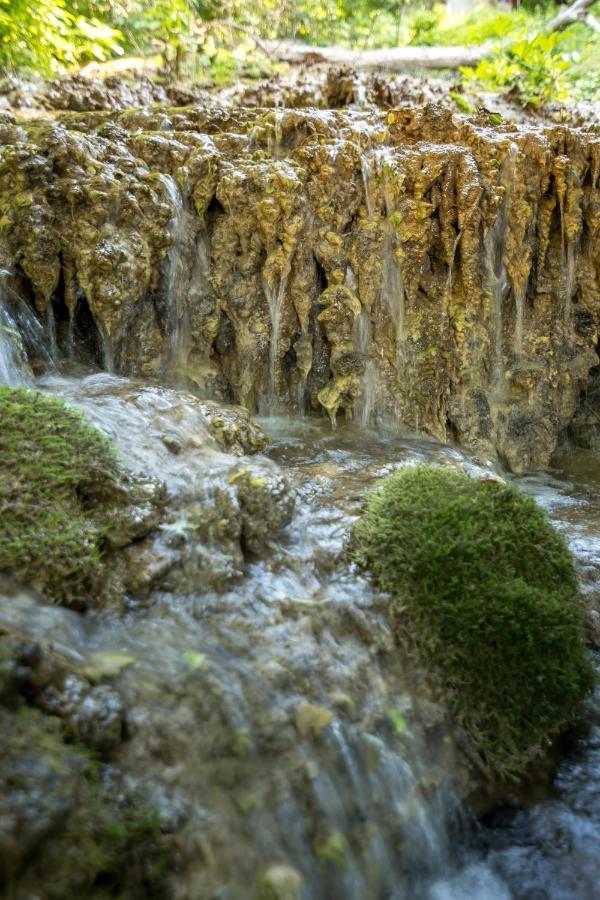 Vila Camelia Golubac Buitenkant foto