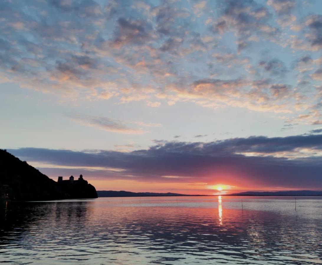 Vila Camelia Golubac Buitenkant foto